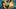 show-hero-bg-image