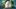 show-hero-bg-image