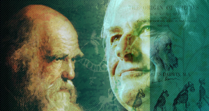 داروين نظرية التطور الفلسفة لماذا خلق الإنسان؟  النظرية الداروينية