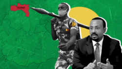 الحرب الأهلية الإثيوبية - تيغراي - حرب التيغراي - آبي أحمد وتيغراي - أزمات آبي أحمد