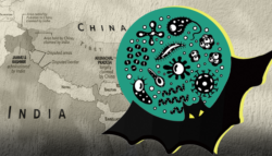 فيروس نيباه - الجائحة المقبلة بعد كورونا - نيباه الوباء القادم - هل فيروس نبياه خطير