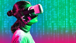 فرضية جهاز المحاكاة